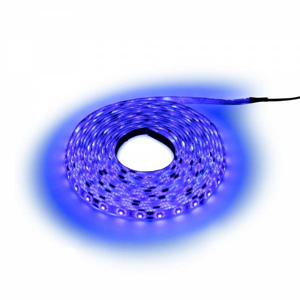 Neon LED Tape Light FPCW-3528-12V-30L-Blue 5m