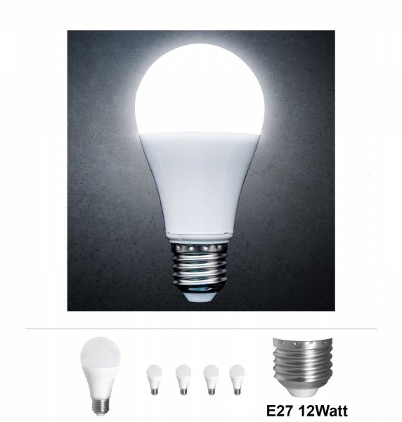 Bundle 4x Grafner LED Leuchtmittel 12W E27 6000K LM10354 (4x16205)